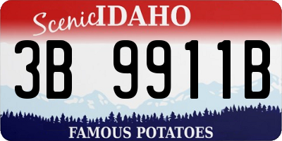ID license plate 3B9911B