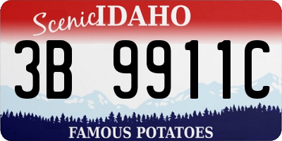ID license plate 3B9911C