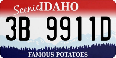ID license plate 3B9911D