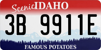 ID license plate 3B9911E