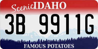 ID license plate 3B9911G