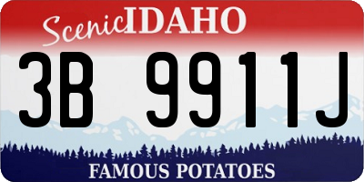 ID license plate 3B9911J