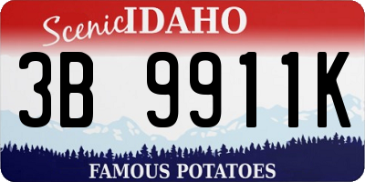 ID license plate 3B9911K