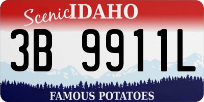 ID license plate 3B9911L