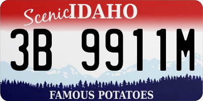 ID license plate 3B9911M