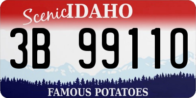 ID license plate 3B9911O