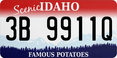 ID license plate 3B9911Q