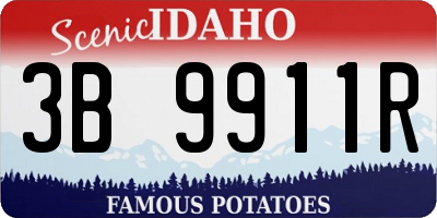 ID license plate 3B9911R