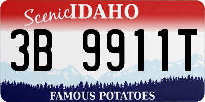 ID license plate 3B9911T