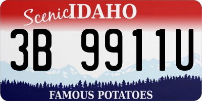 ID license plate 3B9911U