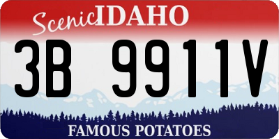 ID license plate 3B9911V