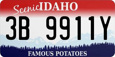 ID license plate 3B9911Y