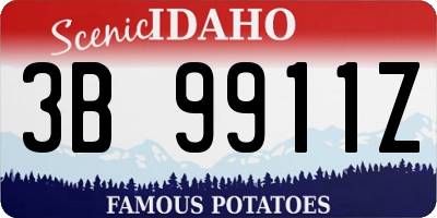 ID license plate 3B9911Z