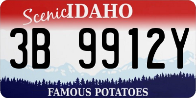 ID license plate 3B9912Y