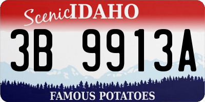 ID license plate 3B9913A