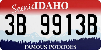 ID license plate 3B9913B