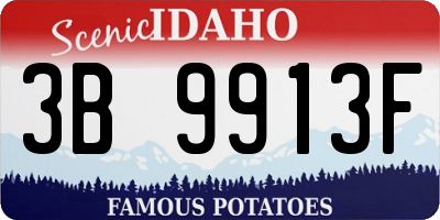ID license plate 3B9913F