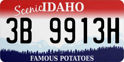 ID license plate 3B9913H