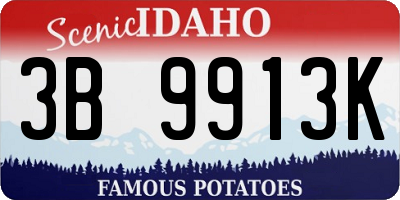 ID license plate 3B9913K