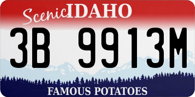 ID license plate 3B9913M