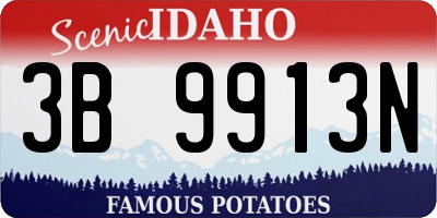 ID license plate 3B9913N
