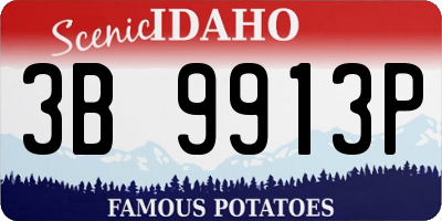 ID license plate 3B9913P