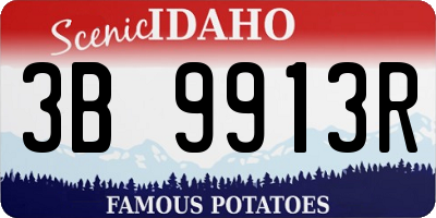 ID license plate 3B9913R