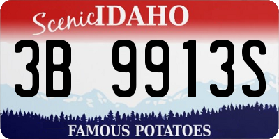 ID license plate 3B9913S