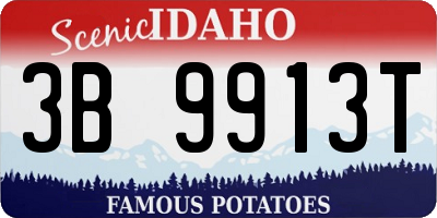 ID license plate 3B9913T