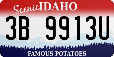 ID license plate 3B9913U