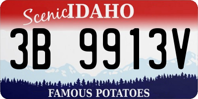 ID license plate 3B9913V