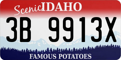 ID license plate 3B9913X