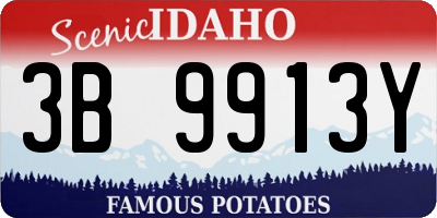 ID license plate 3B9913Y