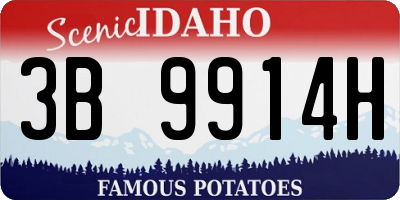ID license plate 3B9914H