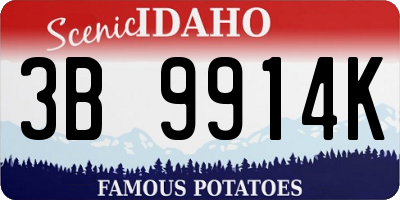 ID license plate 3B9914K