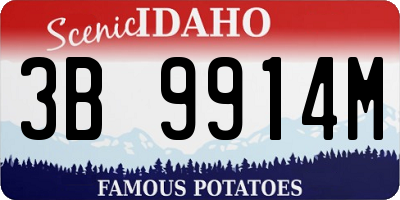 ID license plate 3B9914M