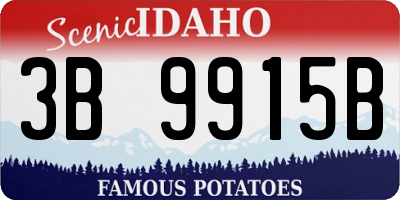 ID license plate 3B9915B