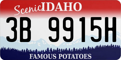 ID license plate 3B9915H