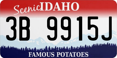 ID license plate 3B9915J