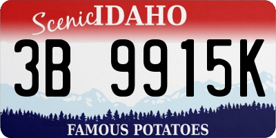ID license plate 3B9915K