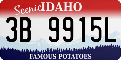 ID license plate 3B9915L