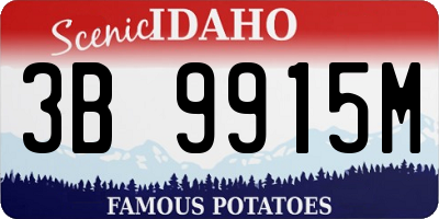 ID license plate 3B9915M