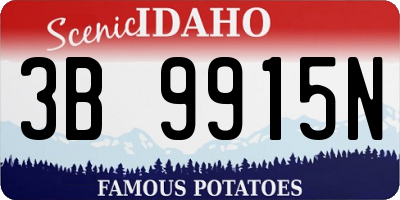 ID license plate 3B9915N