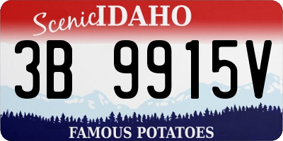 ID license plate 3B9915V