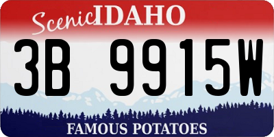 ID license plate 3B9915W
