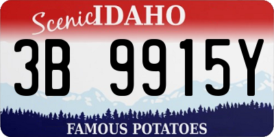 ID license plate 3B9915Y