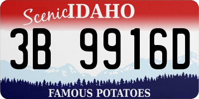 ID license plate 3B9916D
