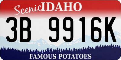 ID license plate 3B9916K