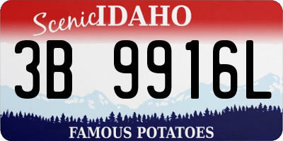 ID license plate 3B9916L