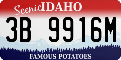 ID license plate 3B9916M